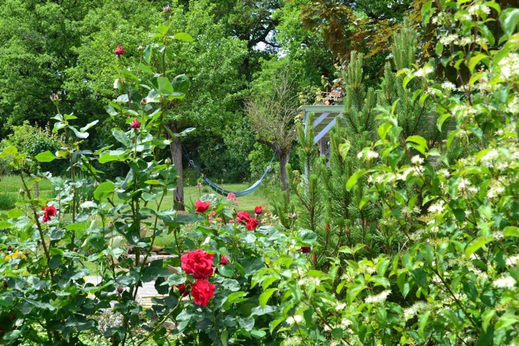 Le Mas De Carrie Bed and Breakfast Parisot  Exteriör bild